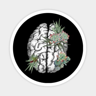 Brain human anatomy,succulents plants, mental Magnet